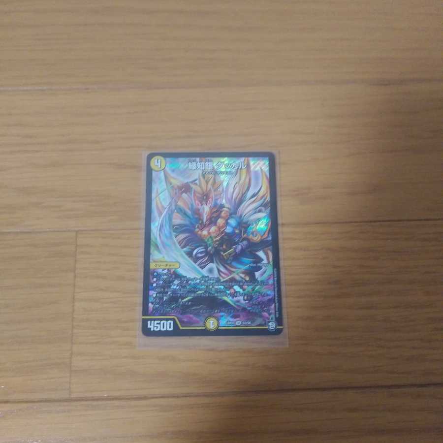 セール! 「絶対の楯騎士」 +緑地銀ダッカル