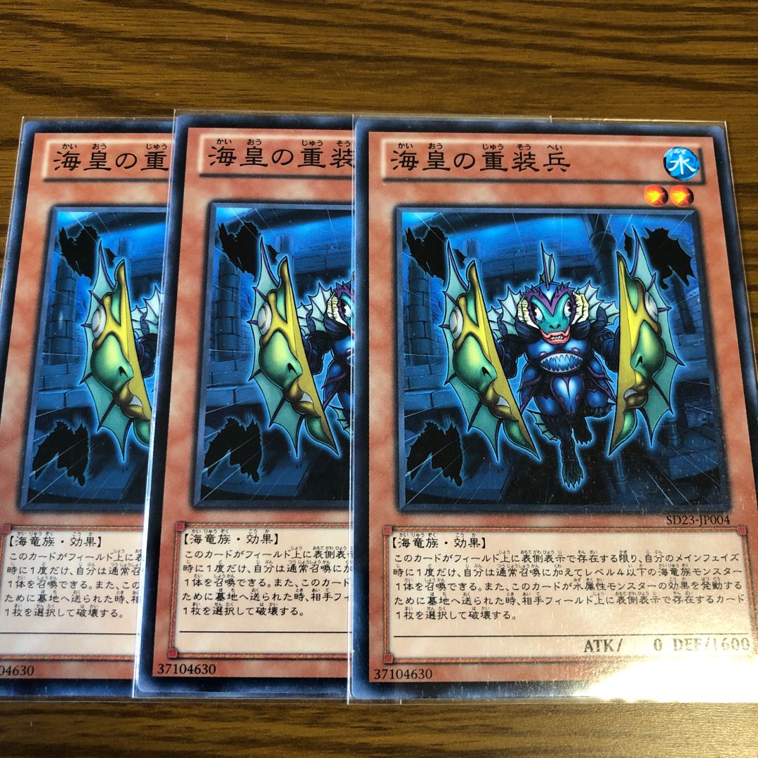 海皇の重装兵 N