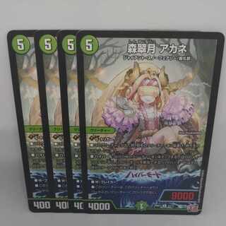 森翠月 アカネ R 24/75