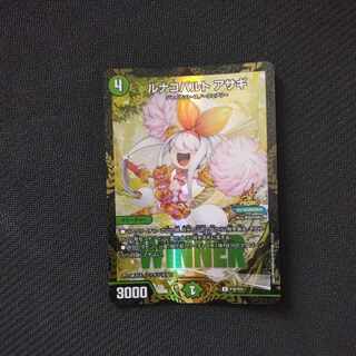 Luna Cobalt Asaghi R 25/75 WINNER