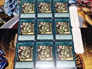 魔法族の里 ノーマル 9枚セット てら