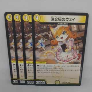 Order Cat's Way C 70/89