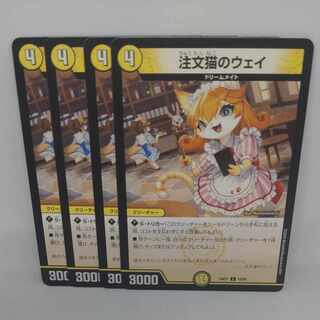 Order Cat's Way C 70/89