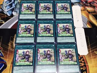 アロマガーデニング ノーマル 9枚セット てら