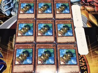 ファイバーポッド ノーマル 9枚セット てら