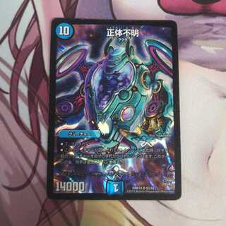 キズ多  正体不明  1枚  DMR18