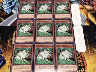 素早いモモンガ ノーマル 9枚セット てら