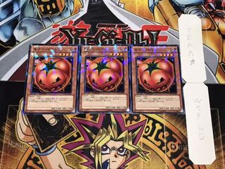 キラー・トマト デュエルターミナル 3枚セット てら