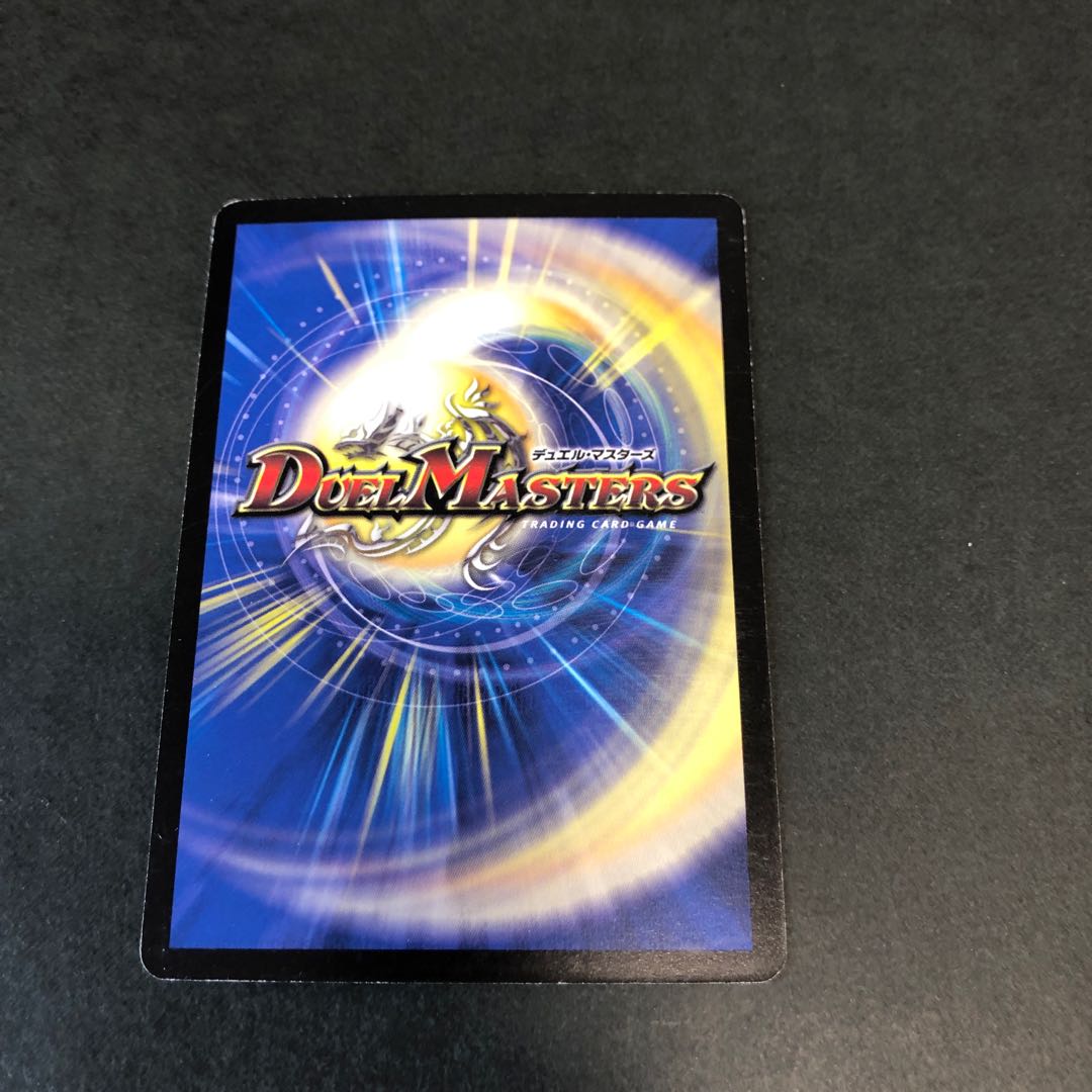 専用 改造治療院 光牙忍ハヤブサマル