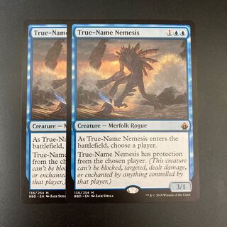 真の名の宿敵　2枚セット