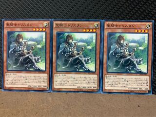 【ぽぽたん】遊戯王 6257 聖騎士トリスタン 3枚 ノーマル