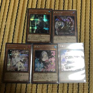 マドレース 灰流うらら SE 他チューナー5枚セット 最安値