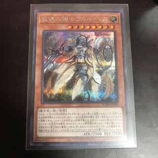 教導の騎士フルルドリス SE