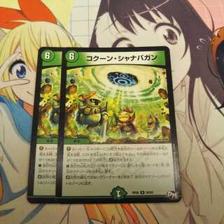 コクーン・シャナバガン　2枚