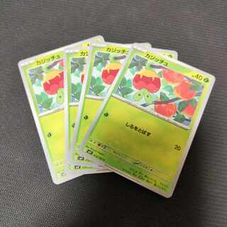 カジッチュ C 010/102 1枚