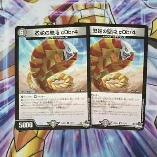 忍蛇の聖沌 c0br4 R 17/74