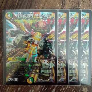 Wachagona, soul friend of the chief SR S5/S9