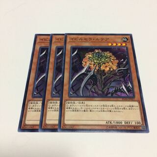 イビルセラ・ルテア【N】