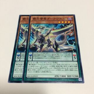 覇王眷竜ダークヴルム【N】