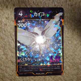 silkworm (Bombyx mori)