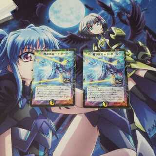 超次元ガード・ホール vc 2枚