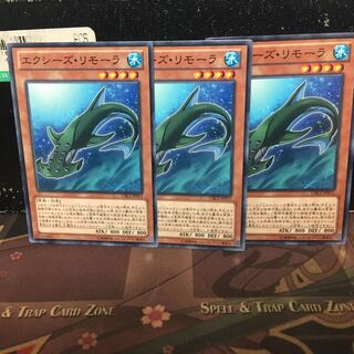 アンコウ エクシーズ・リモーラ 3枚