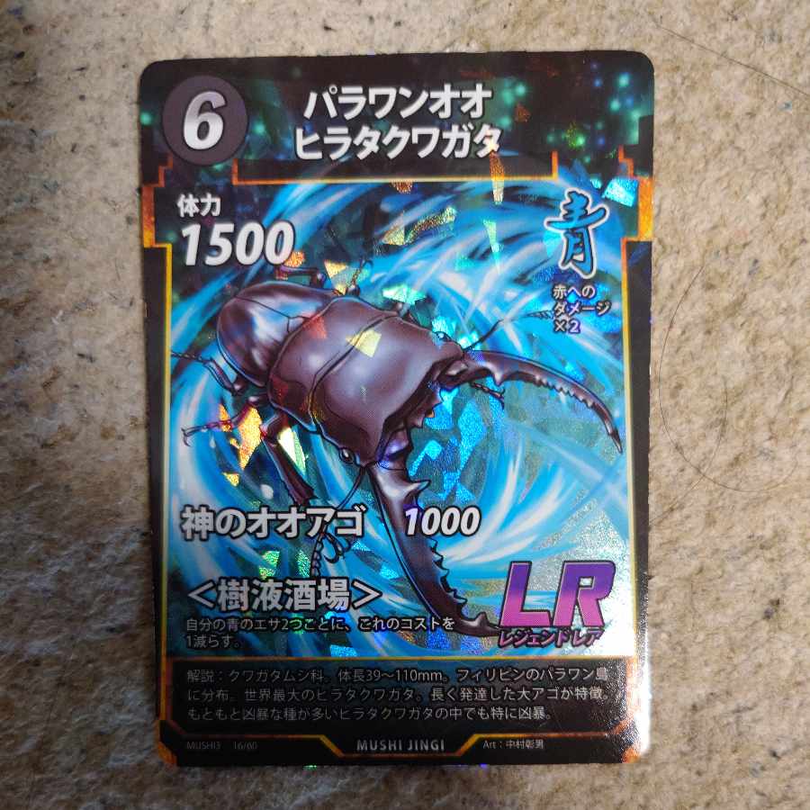 パラワンオオヒラタクワガタ