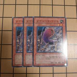 メデューサ・ワーム　wstorm