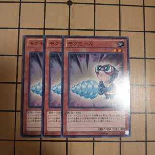 モグモール　wstorm