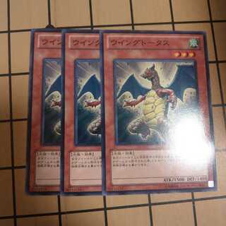 ウイングトータス　wstorm