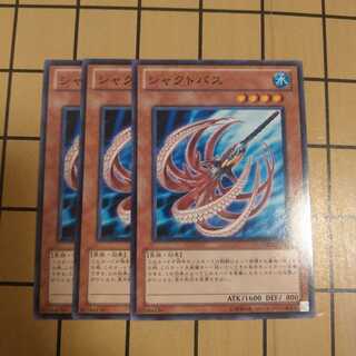 シャクトパス　wstorm