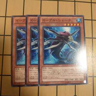 イーグル・シャーク　wstorm