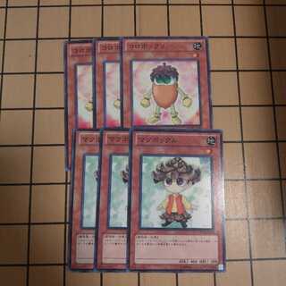 マツボックル　コロボックリ　wstorm