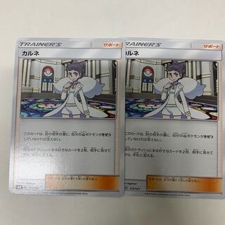 カルネ2枚セット