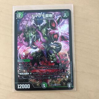 ドマンモ龍樹 SR