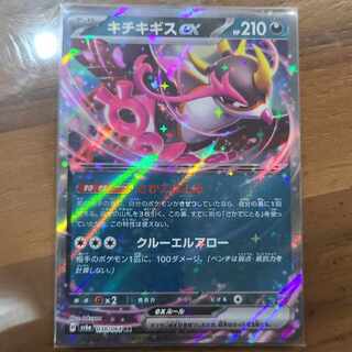 キチキギスex RR 038/064