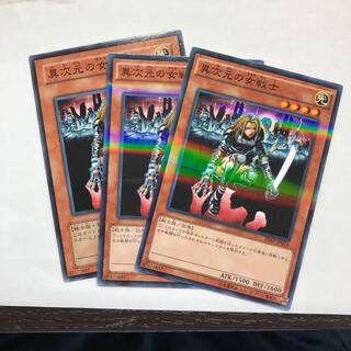 異次元の女戦士