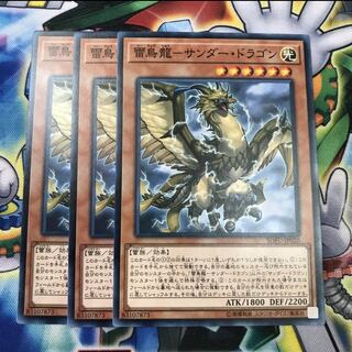 雷鳥龍サンダードラゴン 3枚