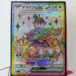 Terrapagos ex SR 122/102