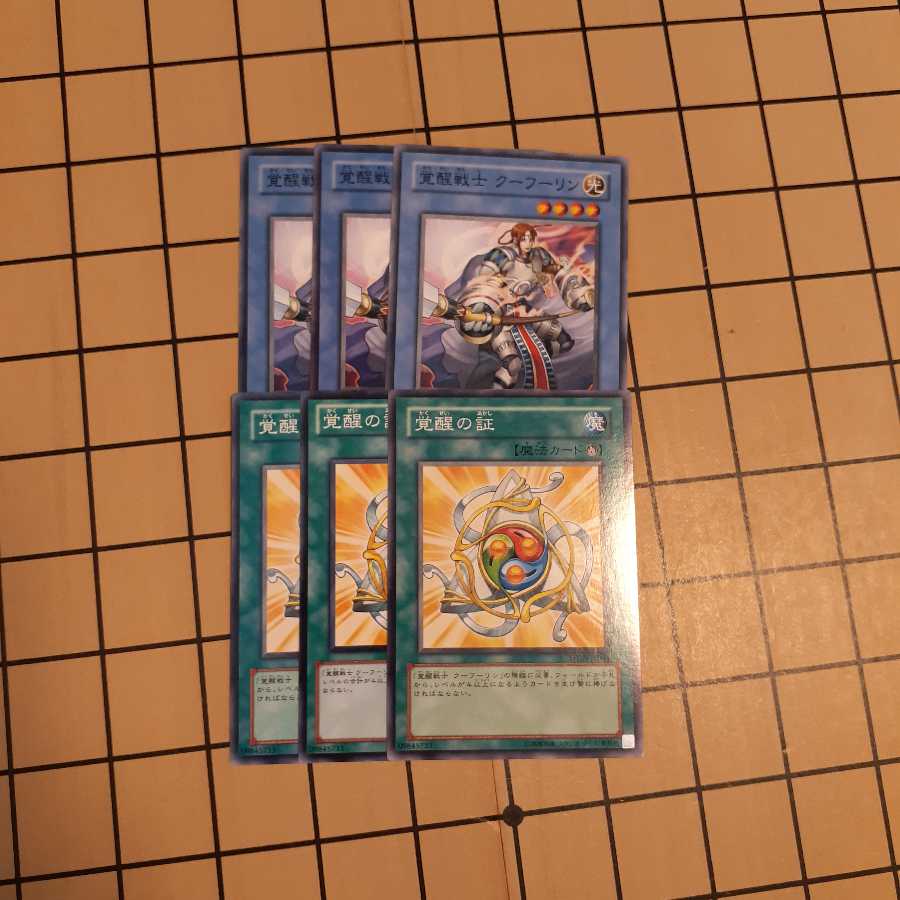 Cú Chulainn the Awakened Emblem of the Awakening wstorm