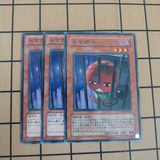 トマボー　wstorm