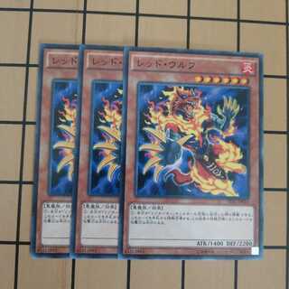 レッド・ウルフ wstorm