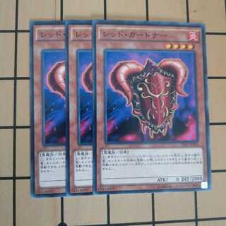 レッド・ガードナー　wstorm