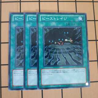 ビーストレイジ　wstorm