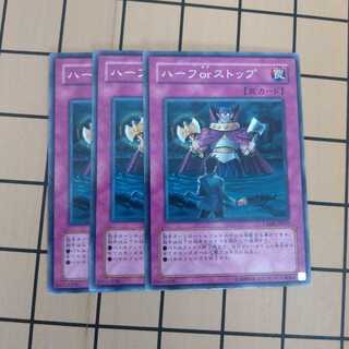 ハーフorストップ wstorm