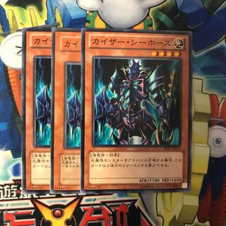 カイジーシーホース 3枚