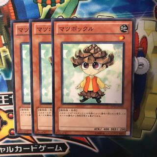 マツボックル 3枚