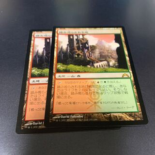 踏み鳴らされる地　日本語版　2枚