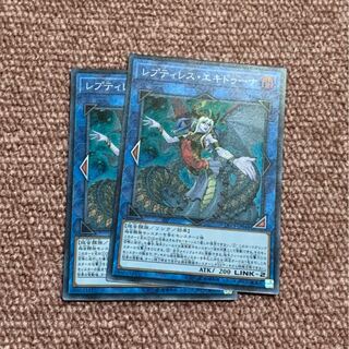 レプティレス・エキドゥーナ