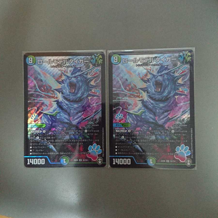 ロールモデルタイガー